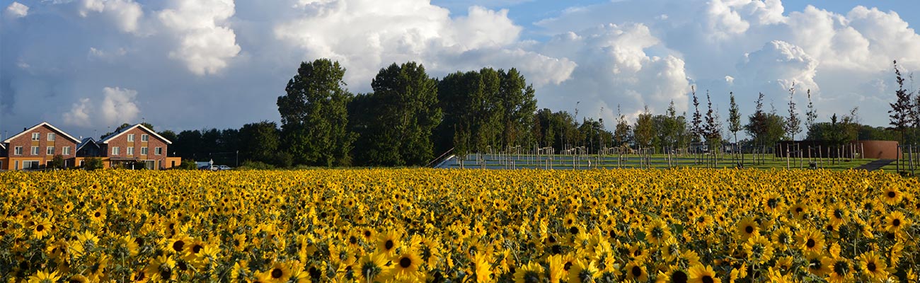 Vereniging Dorp Vijfhuizen, voor elkaar >> met elkaar!